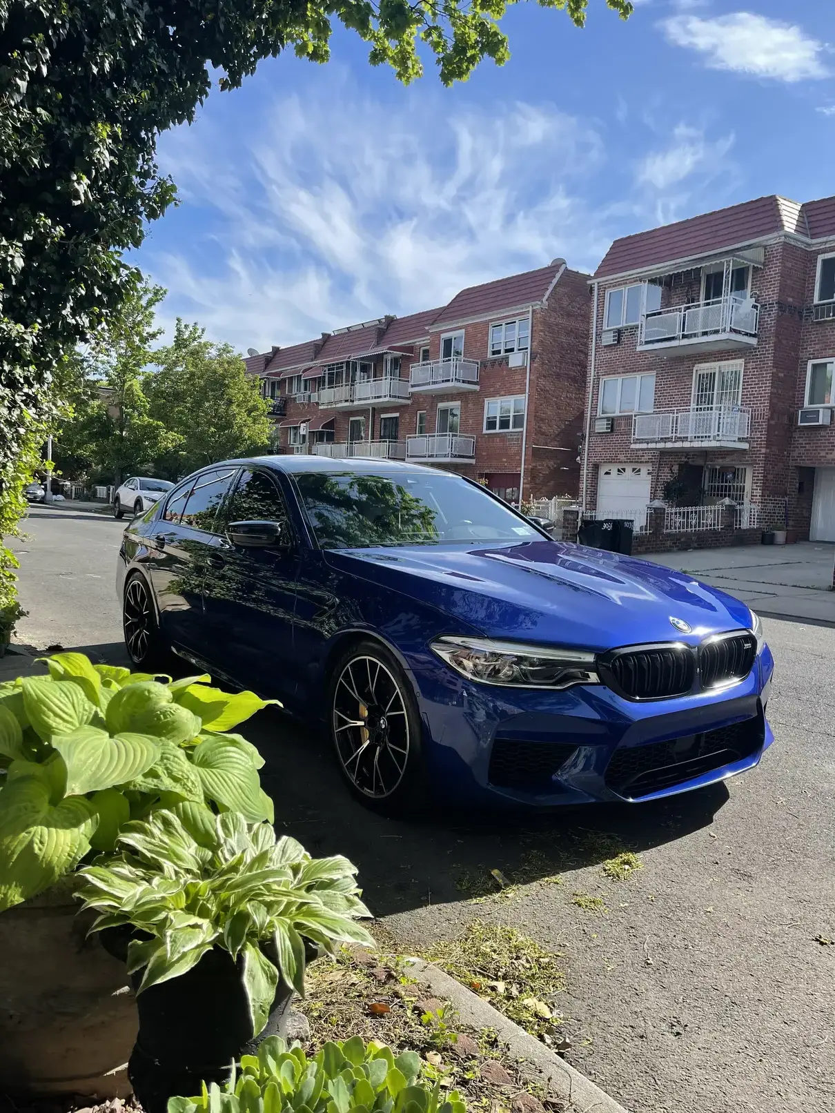 Front picture of blue BMW M5 after cleaning